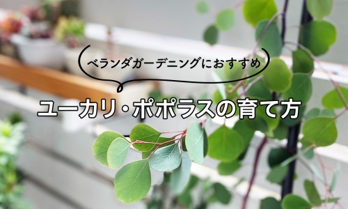 脂肪供能的感觉-脂肪供能体系训练法创始人专区_脂肪供能训练专区_脂肪 肌肉 供能网